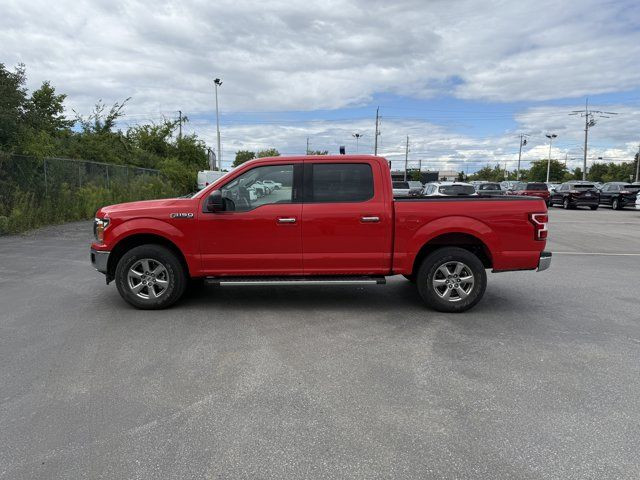 2019 Ford F-150 in Cars & Trucks in Windsor Region - Image 3