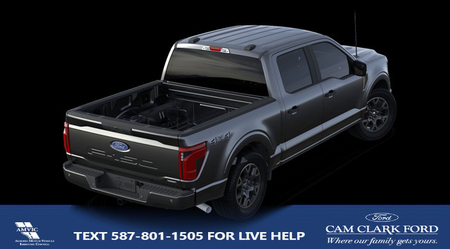 2024 Ford F-150 STX in Cars & Trucks in Banff / Canmore - Image 4