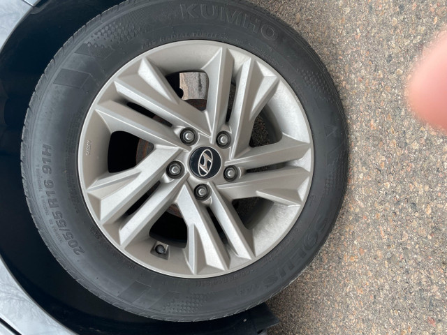 2019 Hyundai Elantra Preferred in Cars & Trucks in Pembroke - Image 4