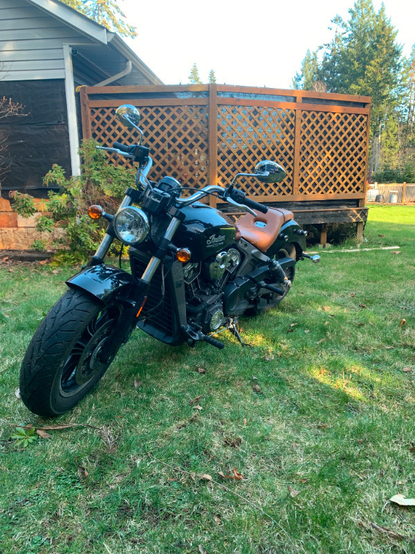 2020 INDIAN SCOUT (FINANCING AVAILABLE) in Street, Cruisers & Choppers in Winnipeg - Image 2