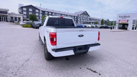 Four Wheel Drive. Cloth Interior. Touchscreen. Bluetooth. Remote Start. Rear View Backup Camera. Pus... (image 7)