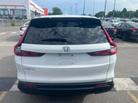 Come visit our London Honda team, you can find us at 560 Wharncliffe Rd S, London, ON, N6J 2N4, or c... (image 4)