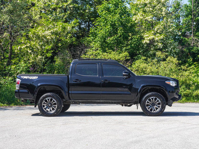 2021 Toyota Tacoma Nightshade- Sunroof - Heated Seats - Manual in Cars & Trucks in Barrie - Image 2