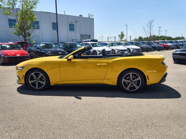 2024 Ford Mustang EcoBoost Premium in Cars & Trucks in Edmonton - Image 2