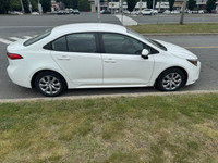 Look at this certified 2021 Toyota Corolla LE | Adaptive Cruise | Apple CarPlay & Android Auto | Hea... (image 3)