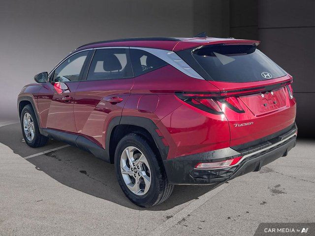 2023 Hyundai Tucson Preferred AWD | Heated Seats + Steering in Cars & Trucks in Cambridge - Image 3