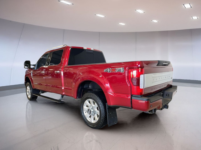 2019 Ford Super Duty F-350 SRW Platinum 4WD Crew Cab 6.75' Box in Cars & Trucks in Moose Jaw - Image 4