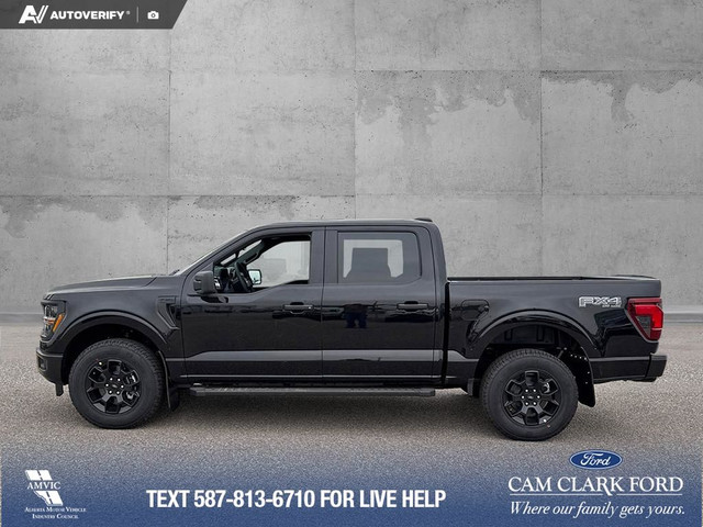 2025 Ford F-150 STX in Cars & Trucks in Red Deer - Image 4