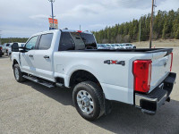 2023 Ford F-350 XLT 4WD Crew Cab Standard 6.75' Box, 7.3L V8, Remote Start, Backup Camera, Keyless E... (image 6)
