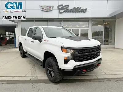 Engine: 5.3L 8cyl. L/100Km City: 0.0 L/100Km Hwy: 0.0 Safety Equipment Daytime Running Lamps with au...