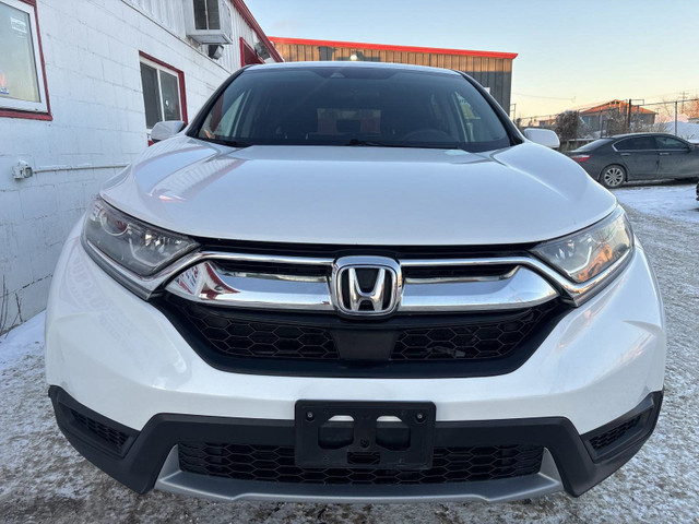 2019 Honda CR-V LX | AWD | FUEL EFFICIENT | HEATED SEATS in Cars & Trucks in Calgary - Image 3