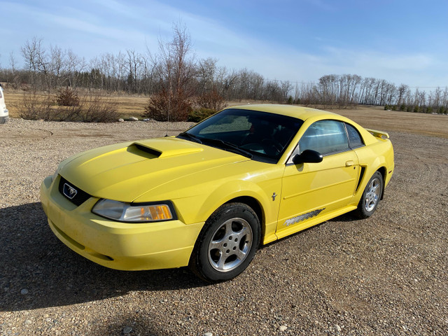 2003 Ford Mustang in Cars & Trucks in Nipawin - Image 2