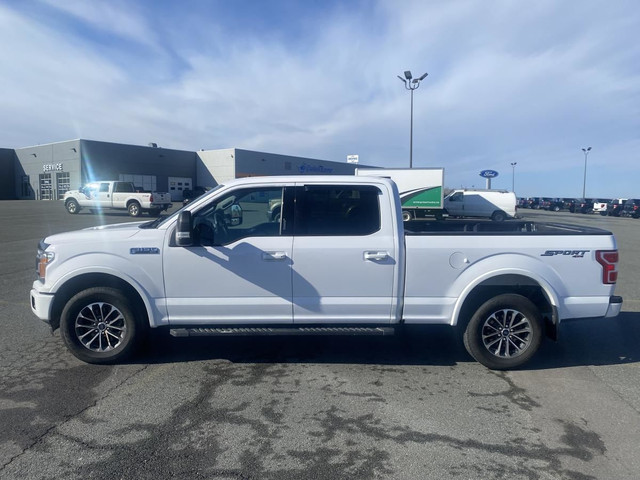 2020 Ford F-150 XLT in Cars & Trucks in New Glasgow - Image 3