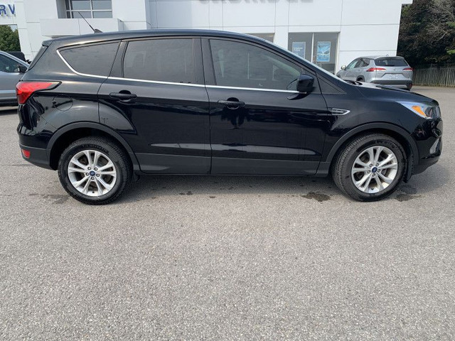 2019 Ford Escape SE FWD - Heated Seats - Android Auto in Cars & Trucks in Kawartha Lakes - Image 4