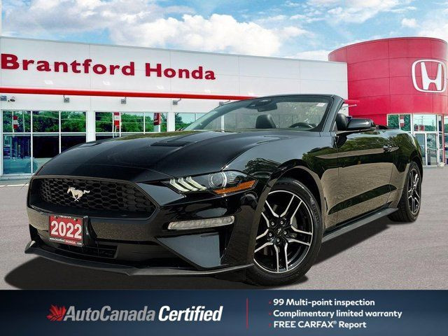 2022 Ford Mustang EcoBoost Premium in Cars & Trucks in Brantford