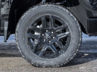 HD Surround Vision | 6-Way MultiFlex Tailgate | Black Assist Steps | Sunroof | Leather/ Heated Seats... (image 8)