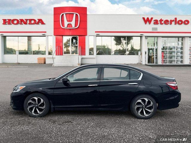 2016 Honda Accord Sedan EX-L | ONE OWNER | LEATHER | SUNROOF in Cars & Trucks in Kitchener / Waterloo - Image 4