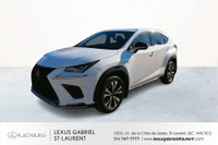 2019 Lexus NX 300 F SPORT 1 AWD