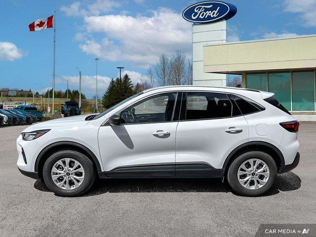 2024 Ford Escape Active in Cars & Trucks in Kitchener / Waterloo - Image 4