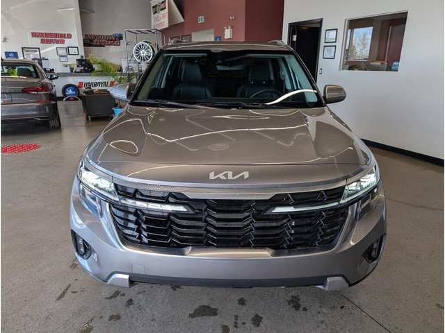 2025 Kia Seltos in Cars & Trucks in Thunder Bay - Image 3