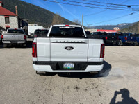 Skid Plates, Pro Power Onboard - 7.2KW, Platinum Black Leather Bucket, Wheel Well Liner, Bedliner Sp... (image 3)