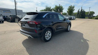 This Ford Escape is equipped with: Cloth Seats Trim, Radio: AM/FM Stereo w/SiriusXM, 8 Inch Touchscr... (image 8)