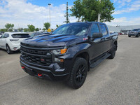 2023 Chevrolet Silverado 1500 CUSTOM TRAIL BOSS / 5.3L