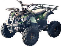 2021 Apollo RYDER 125 Utility The Ryder 125cc atv is perfect for