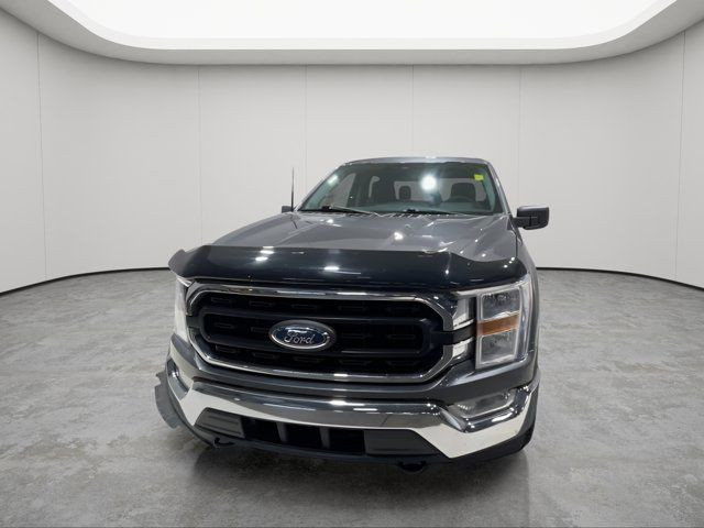 2022 Ford F-150 XLT - CLEAN CARFAX - ONE OWNER in Cars & Trucks in Strathcona County - Image 3