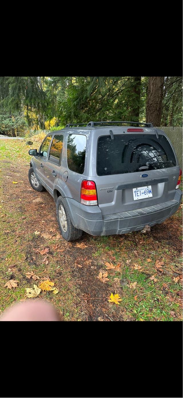 2007 Ford Escape XLT in Cars & Trucks in Victoria - Image 2