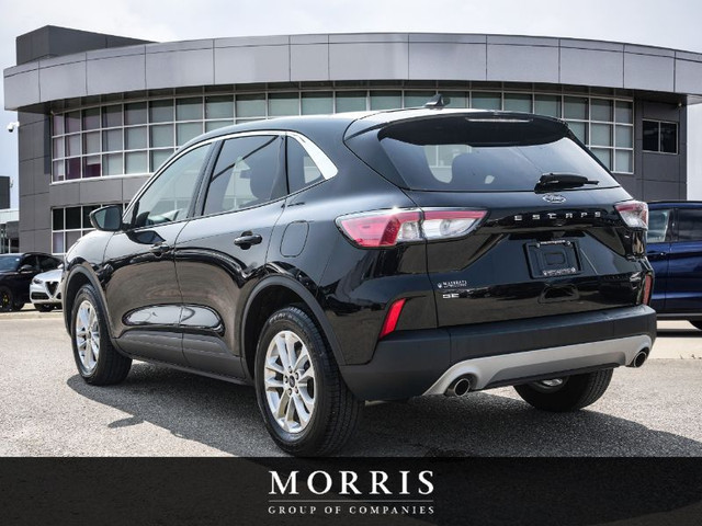 2022 Ford Escape SE Hybrid in Cars & Trucks in Winnipeg - Image 4