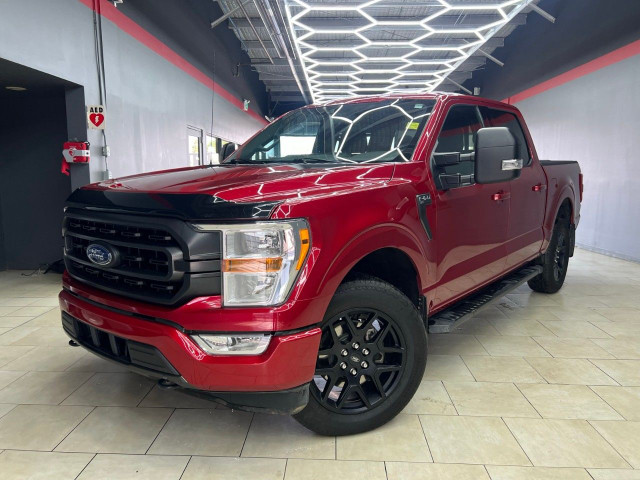 2021 Ford F-150 in Cars & Trucks in Edmonton - Image 3