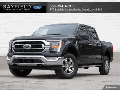 2023 Ford F-150 XLT Powerful, Versatile, Exceptional