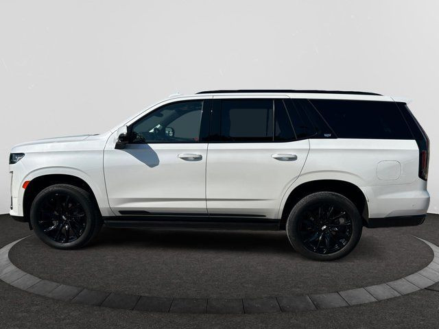 2021 Cadillac Escalade Sport 4WD in Cars & Trucks in Regina - Image 2
