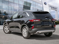 Experience the future of SUVs with the 2025 Ford Escape Active! This brand-new model combines cuttin... (image 3)