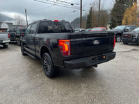 Wireless Charging Pad, Skid Plates, Mobile Office Pkg., Pro Access Tailgate, Twin Panel Moonroof, Wh... (image 5)