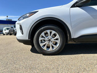 **WE WILL BEAT ANY FORD DEALER IN THE CITY** Built for drivers who crave excitement and versatility,... (image 2)