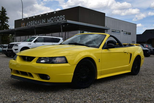 2001 Ford Mustang ***RAG TOP, MANUAL, EXHAUST*** in Cars & Trucks in Calgary