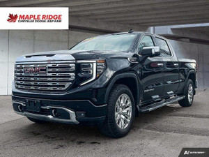 2023 GMC Sierra 1500 Denali | Fully-Loaded | Diesel | Heated/Vented Seats | No Accidents
