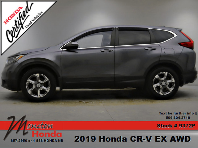  2019 Honda CR-V EX in Cars & Trucks in Moncton - Image 2
