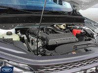 **WE WILL BEAT ANY FORD DEALER IN THE CITY** Adventure meets everyday versatility in the 2025 Bronco... (image 6)
