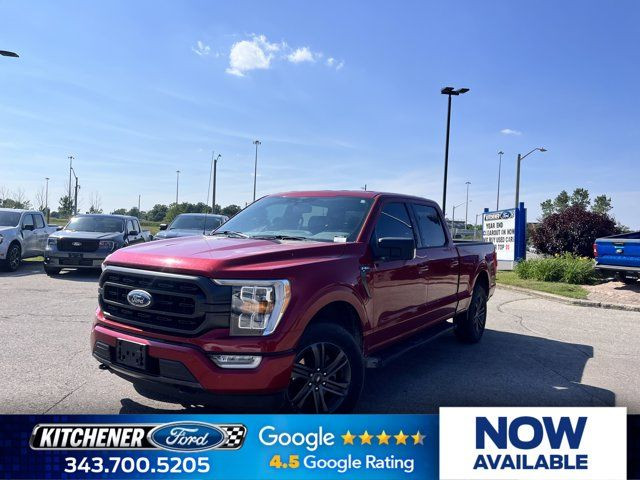 2021 Ford F-150 XLT in Cars & Trucks in Kitchener / Waterloo