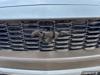 Low Mileage! On Sale! Save $4912 on this one, we've marked it down from $40899. Ford's storied Musta... (image 9)