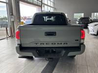 HEATED FRONT SEATS, ADAPTIVE CRUISE CONTROL, BACK-UP CAMERA Yearning for a rugged companion to conqu... (image 8)