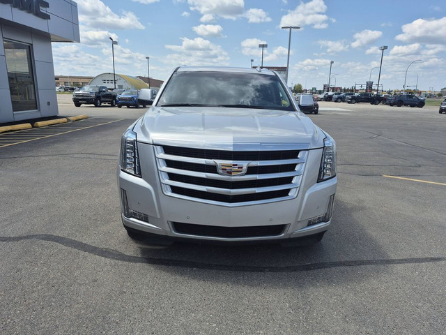2019 Cadillac ESCALADE LUXURY 4WD in Cars & Trucks in Red Deer - Image 4