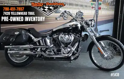 Includes: 100th Anv Saddlebags, 6 Pull Back Riser & Drag Bars, Front Tool Bag, and Aftermarket Peg A...