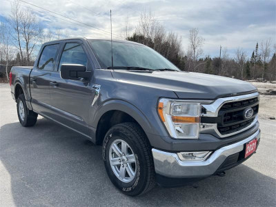 2021 Ford F-150 XLT Apple Carplay Android Auto - Low Mileage