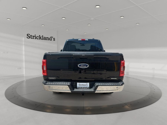 2022 FORD F150 XLT REGULAR CAB in Cars & Trucks in Stratford - Image 4