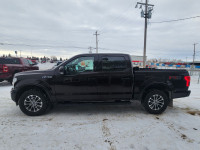 Leather Seats, Cooled Seats, Aluminum Wheels, Apple CarPlay, Android Auto, Ford Co-Pilot360, Dynamic... (image 2)