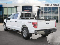 ENGINE: 5.0L V8 -inc: flex-fuel capability and auto start/stop technology 3.31 Axle Ratio GVWR: 3198... (image 3)